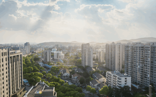 Emerging Transit Impact